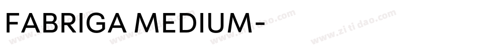 FABRIGA MEDIUM字体转换